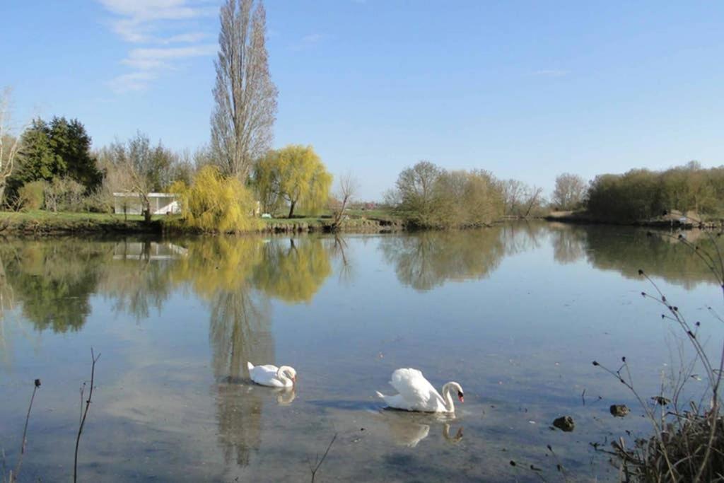 Gite La Garauderie Villa L'Ile-d'Elle Buitenkant foto